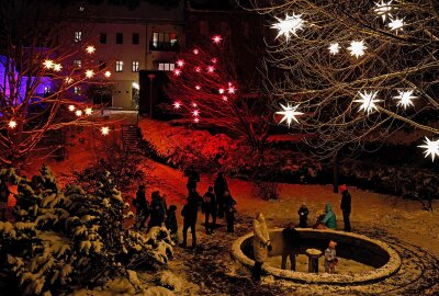 Kleine Feste locken mit Livemusik und Heißgetränken - Die Herrnhuter Sterne in den Stadtgarten-Bäumen haben schon viele Besucher angelockt. Foto: Markus Pfeifer