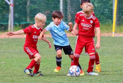 Kleine "Handwerker" siegen beim Ossi18-Bambini-Cup - Viel Spiel und Spaß in Klaffenbach. Foto: Peggy Schellenberger