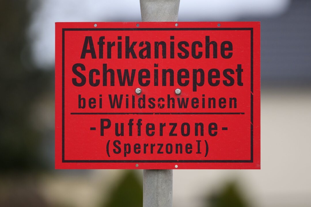 Köpping: Afrikanische Schweinepest zurückgedrängt - Ein Schild Afrikanische Schweinepest bei Wildschweinen - Pufferzone (Sperrzone 1) ist an einem Ortseingangsschild im Landkreis Bautzen montiert.