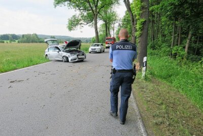 Kollision mit Baum  auf der S274: Zwei Personen schwer verletzt - Schwerer Unfall mit zwei Verletzten auf der S274. Foto: Niko Mutschmann