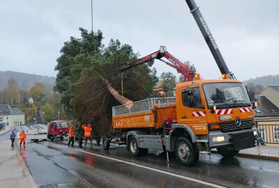 Kommt ein Weihnachtsbaum in Zschopau geflogen? - Auf der oberen Straße wartete ein Laster für den Transport. Foto: Andreas Bauer