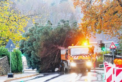 Kommt ein Weihnachtsbaum in Zschopau geflogen? - Dann bahnte sich der Lkw seinen Weg zum Markt. Foto: Andreas Bauer