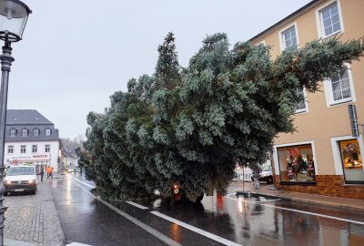 Kommt ein Weihnachtsbaum in Zschopau geflogen? - Kurzzeitig war die Lange Straße deshalb gesperrt. Foto: Andreas Bauer