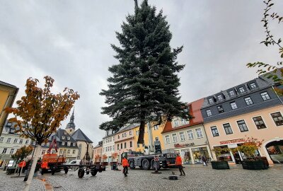 Kommt ein Weihnachtsbaum in Zschopau geflogen? - Auf dem Markt kam der Kran erneut zum Einsatz. Foto: Andreas Bauer