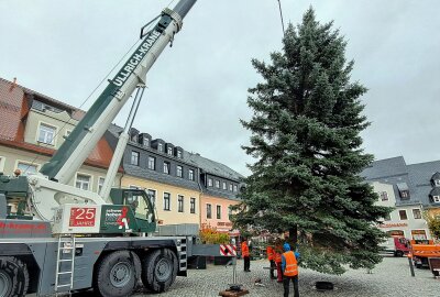 Kommt ein Weihnachtsbaum in Zschopau geflogen? - Nach rund zwei Stunden war der Weihnachtsbaum in die richtige Position gebracht. Foto: Andreas Bauer