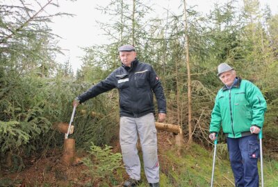 Kornbach: Borkenkäfer hält Waldbesitzer in Atem - Lutz Bauer (links) und Klaus Bauer zeigen die Fichtenstämme, die nebst Gestrüpp stehen geblieben sind. Foto: Simone Zeh