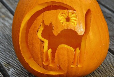Krass kreative Kürbisse: Eine Herbstinspiration - Was wäre Halloween ohne schwarze Katzen und gruslige Spinnen? Foto: pixabay
