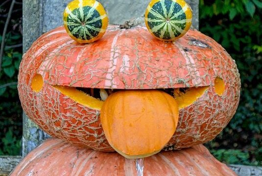 Krass kreative Kürbisse: Eine Herbstinspiration - Dieser Kürbisfrosch lässt sich sehen! Fliegen wird er jedoch nicht fangen. Foto: pixabay