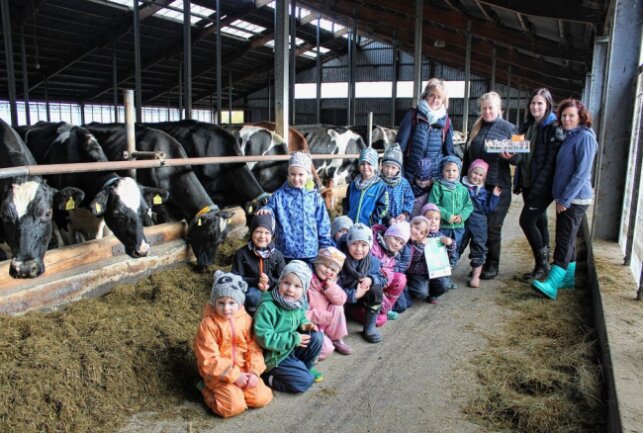 Kühe, Kälber und heimische Milch: Ein Jahr kostenlose Milchlieferung - Die Kinder erhielten eine Stallführung und waren begeistert und interessiert bei der Sache. Foto: Jana Kretzschmann