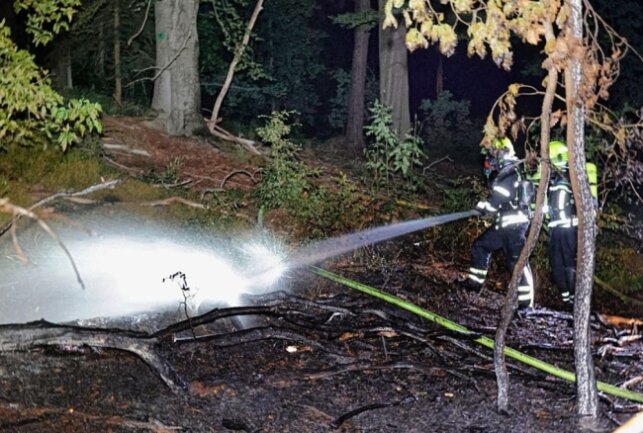 Laut den Kameraden brannte im Wald ein Lagerschuppen auf zirka 10 x 20 Quadratmeter Fläche. Foto: Harry Härtel/haertelpress 