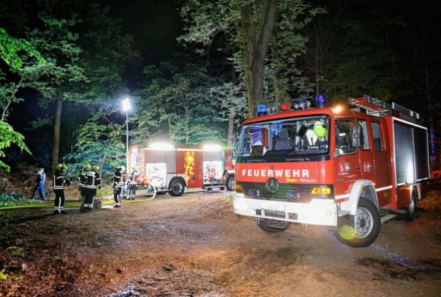 Laut den Kameraden brannte im Wald ein Lagerschuppen auf zirka 10 x 20 Quadratmeter Fläche. Foto: Harry Härtel/haertelpress 
