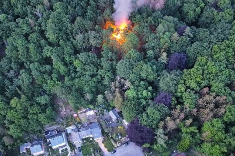 Lagerschuppen in Harthau in Flammen - Auch das umliegende Waldstück wurde auf etwa 1000 Quadratmetern beschädigt. 