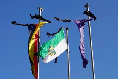 Landesweite Trauerbeflaggung am 19. September - Symbolbild Trauerflaggen. Foto: Harry Härtel