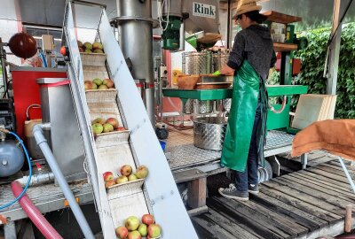 Lauenhain: Warum es am Gasthof jetzt Apfel- statt Gerstensaft gibt - Über ein Förderband laufen die reifen Äpfel in die Saftpresse. Foto: Marcus Hansel