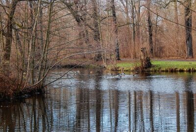 Leipziger Teich wird endlich entschlammt - Der Teich im Abtnaundorfer Park ist längst gekippt und soll im August vom Schlamm befreit werden. Foto: Anke Brod
