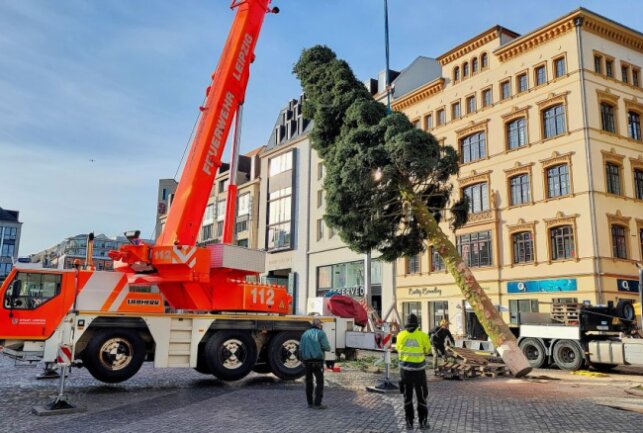 Leipziger Weihnachtsbaum 2022 wird wieder ein Vogtländer - Vogtländer Tanne zieht auf den Marktplatz in Leipzig. Foto: Christian Grube