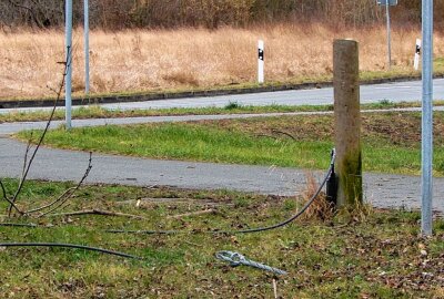 Leitungsmasten in Leipzig filigran durchgesäbelt: Was steckt dahinter? - Leitungsmasten in Leipzig filigran durchgesäbelt. Foto: Anke Brod