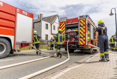 Limbach: Kinderspielhaus brennt - Nachbar verletzt sich bei Löschversuch - In einem Grundstück auf der Herlasgrünerstraße in Limbach stand ein Kinderspielhaus in Vollbrand. Foto: blst