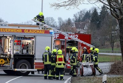LKW kommt von B 175 ab und droht abzustürzen - Die Feuerwehren von Remse und Glauchau sind mit über 30 Leuten im Einsatz.   Foto: Andreas Kretschel