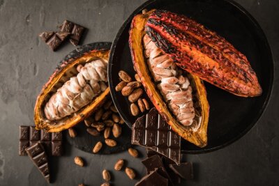 Mehr als eine Süßigkeit: Das müssen Sie über Schokolade wissen - Kakao für Schokolade wird aus Kakaofrüchten gewonnen.
