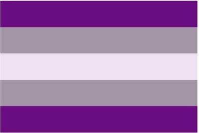 Die Flagge der Greysexualität: Greysexualität wird der Asexualität zugeordnet. Jedoch empfinden sie selten, in geringem Maße sexuelle Anziehung oder sind sich über die sexuelle Anziehung noch nicht sicher. 