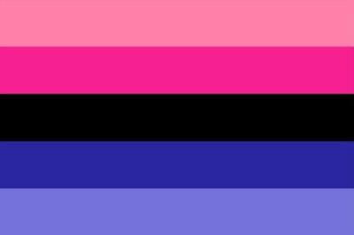 Die Flagge für Omnisexualität: Omnisexuelle Personen fühlen eine sexuelle Anziehung gegenüber allen Geschlechtern. Im Gegensatz zu Omnisexuellen nehmen sie das Geschlechts des Gegenübers wahr.