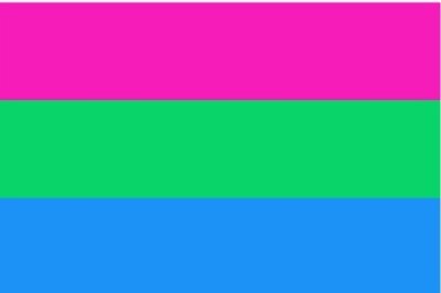 Die Flagge der Polysexualität: Polysexuell bedeutet, dass eine Person sich zu Menschen mehrerer, aber nicht aller, Geschlechter körperlich und/oder sexuell hingezogen fühlt.