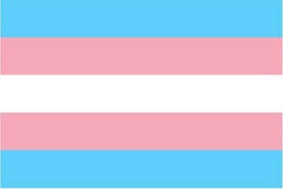Die Flagge der Transgender: Transgender sind Personen, die sich nicht dem angeborenen Geschlecht zugehörig fühlen. 