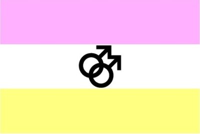 Die Twink-Flagge: Twink ist ein Begriff in der Schwulen-Szene, der für schwule Personen benutzt wird, die eine jungenhafte Erscheinung haben und wenig maskuline Züge zeigen.