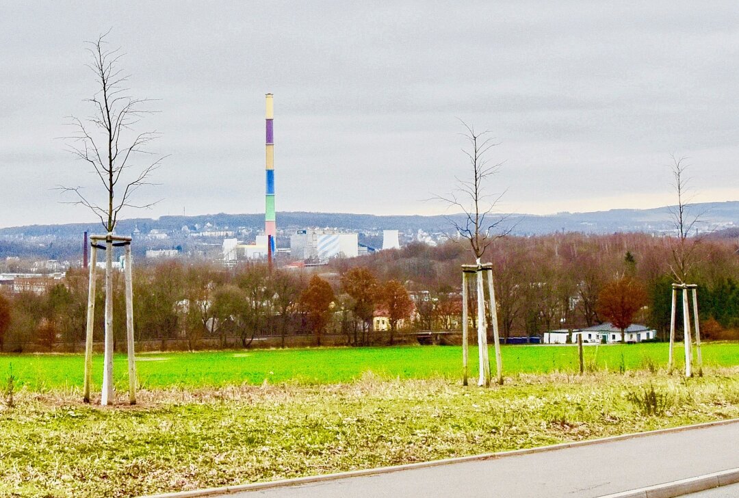 Mehr Grün für besseres Stadtklima in Chemnitz? - Eine umweltbewusste Stadtplanung durch mehr Grünflächen - das soll bei der Netto-Null-Versiegelung diskutiert werden. Foto: Steffi Hofmann
