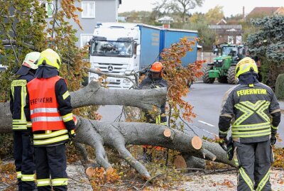 Mehrere Vollsperrungen in Westsachsen wegen umfallender Bäume - FFW Wüstenbrand im Einsatz. Foto: Andreas Kretschel