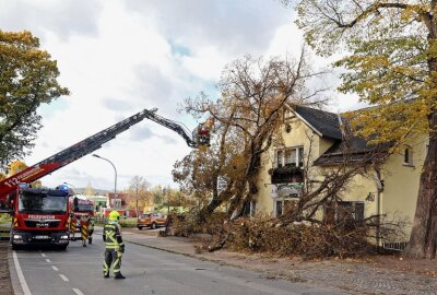Mehrere Vollsperrungen in Westsachsen wegen umfallender Bäume - FFW Wüstenbrand im Einsatz. Foto: Andreas Kretschel