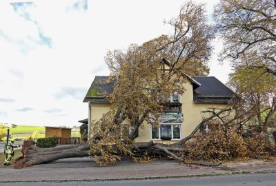 Mehrere Vollsperrungen in Westsachsen wegen umfallender Bäume - Die FFW Hohenstein-Ernstthal war hier mit der Drehleiter im Einsatz. Foto: Andreas Kretschel