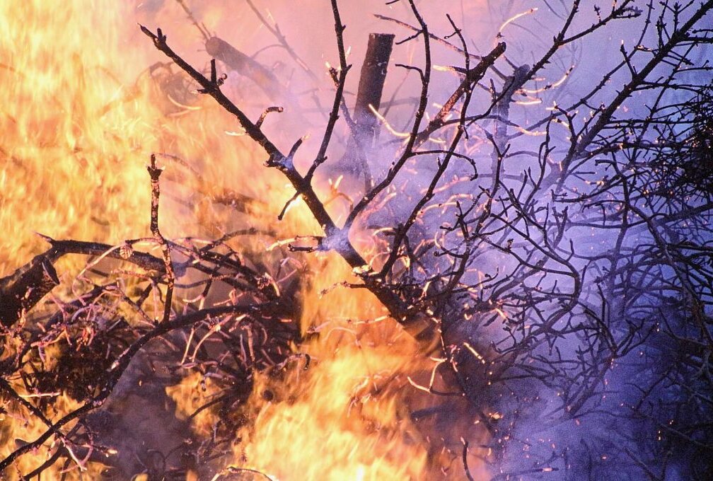 Mehrere Waldbrände im Landkreis Meißen - Waldbrände im Landkreis Meißen: war es Brandstiftung? Foto: pixabay