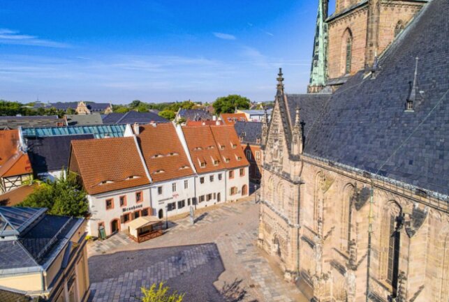 Metallhand und eine Geige aus Zinn sind zu sehen - Die Zwickauer Priesterhäuser sind seit 20 Jahren Museum. Foto: Helge Gerischer/Stadt Zwickau