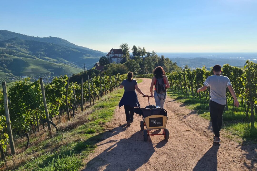 Mit Bollerwagen und Hex: Weinwandern am Schwarzwaldrand - Ab in die Natur: Mit "Durbach Adventures" auf Weintour durch die Ortenau.