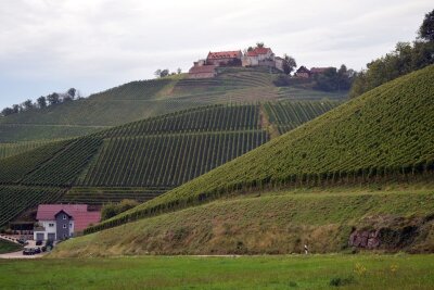 Mit Bollerwagen und Hex: Weinwandern am Schwarzwaldrand - Bestimmt ein guter Ausblick von oben: Schloss Staufenberg.