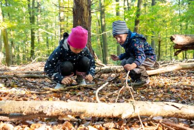 Mit diesen Tipps begeistern Sie Kinder fürs Wandern - Zeit zum Spielen einplanen: So gefällt auch Kindern das Wandern.