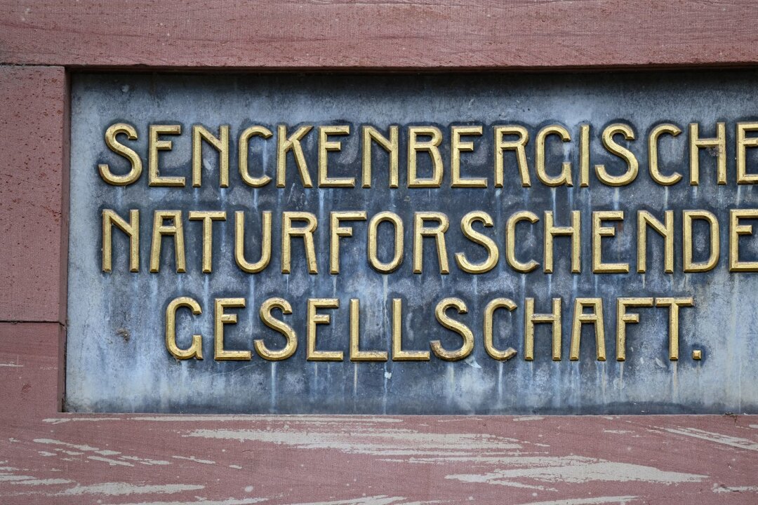 Mobile Stationen sollen Forschungsarbeit näherbringen - Eine Platte mit der Aufschrift "Senckenbergische Naturforschende Gesellschaft" ist in der Fassade am Eingang des Senckenberg-Museums eingelassen.