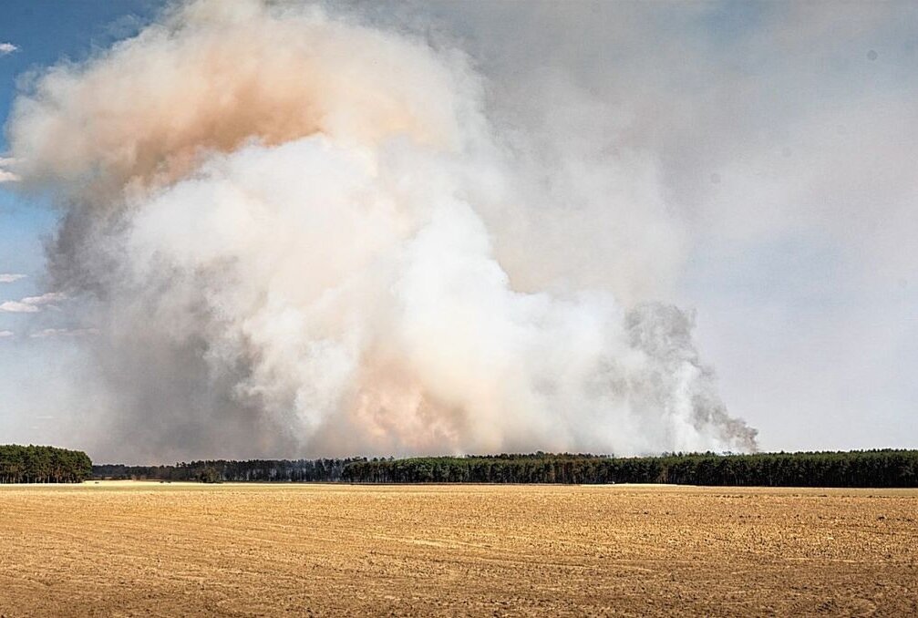 Mutwillig oder fahrlässig? Waldbrand beschäftigt Einsatzkräfte im Erzgebirge - In Drebach kam es zu einem Waldbrand. Symbolbild: Pixabay