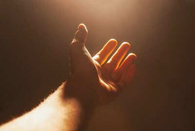 Mysteriöse Krankheit: Alien-Hand-Syndrom - Das Alien-Hand-Syndrom ist eine neurologische Erkrankung. Der Besitzer kann die Hand nicht kontrollieren. Foto: Pixabay