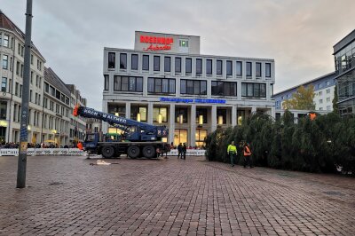 Nach kompliziertem Transport: Chemnitzer Weihnachtsbaum hat sein Ziel erreicht - Der Kran wird in Position gebracht.