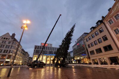 Nach kompliziertem Transport: Chemnitzer Weihnachtsbaum hat sein Ziel erreicht - Trotz des wieder einsetzenden Regens sind zahlreiche Chemnitzer da und verfolgen den Aufbau des Baums. 