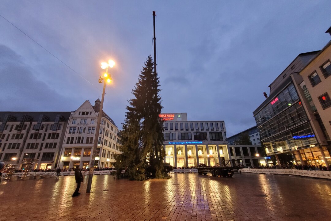 Nach kompliziertem Transport: Chemnitzer Weihnachtsbaum hat sein Ziel erreicht - Beifall von den anwesenden Besuchern des Marktes. Der Baum steht.