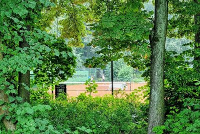 Nach Überfall in Chemnitzer Stadtpark: Neue Erkenntnisse wenden das Blatt - Im Chemnitzer Stadtpark wurde eine Person überfallen, die Kriminalpolizei nahm die Ermittlungen auf. Foto: Harry Härtel