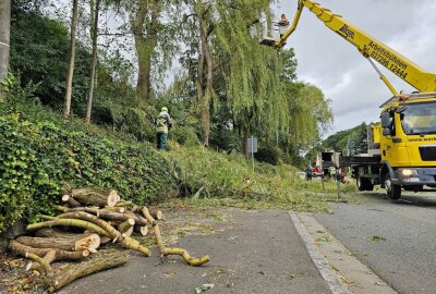 Nach Windbruch: Vollsperrung in Gersdorf - Baumfällarbeiten in Gersdorf. Foto: Mike Müller