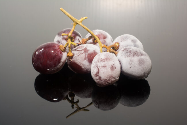 10. Gefrorene Weintrauben: Weintrauben haben zwar einen hohen Fruchtzuckeranteil und sind daher nicht die perfekte Wahl für Diäten. Doch friert man Weintrauben ein und nascht sie gefroren, isst man automatisch weniger davon und hat gleichzeitig eine schöne Abkühlung. 