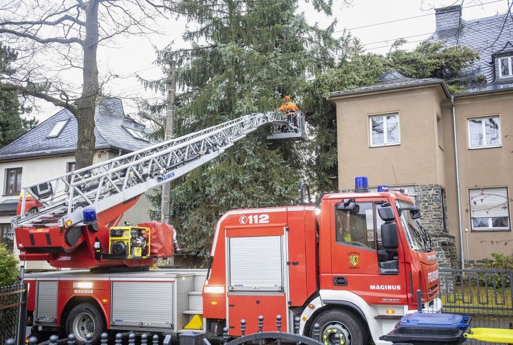 "Nasim" fegt durchs Land: Baum kracht auf Haus in Chemnitz - Die Fichte musste von der Feuerwehr entfernt werden. Foto: b&s