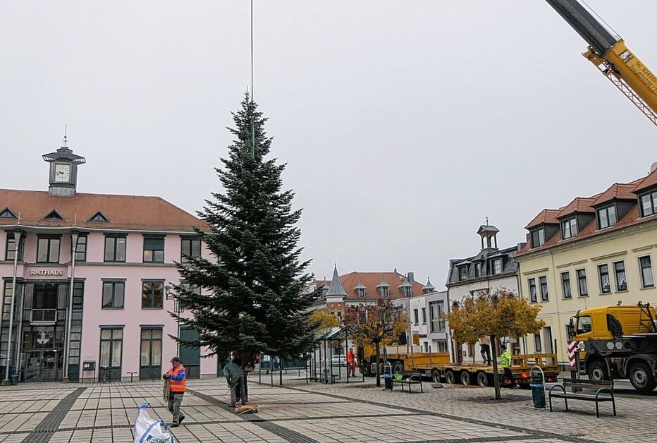 Naunhofer Weihnachtsbaum aufgestellt - Der Naunhofer Weihnachtsbaum wurde am Freitagvormittag aufgestellt. Foto: Sören Müller