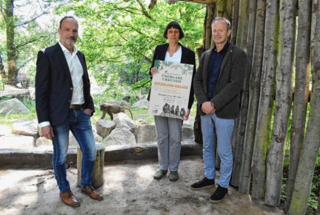Neue Primaten-Art im Tierpark Chemnitz - Eine Dschelada-Familie zieht in den Chemnitzer Zoo ein. Foto: Michaela Haustein